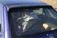 petershagen_2006_062